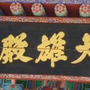 산천초목 이미지