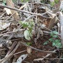 (주)한주 이미지