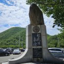 초아(超我)의 봉사 | #보경사내연산12폭포 #생태계교란식물