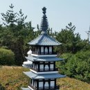 마호타 이미지