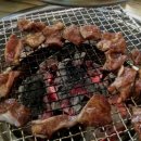황금돈돼지 이미지