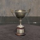 (주)삼성골프클럽 이미지