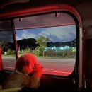 도래울바람물공원 | 도래울 바람물공원 반려견 놀이터(운동장)