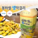 경상남도 축산연구소 | [김해시 진영읍 봉하마을] 봉하쌀 생막걸리+굴전=맛있다~~~~봉하 막걸리