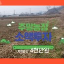 와초리농장 네이버블로그
