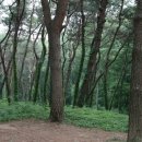 수원-0144 이미지