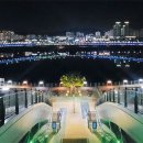 금강보행교 북측 공원 이미지