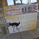 거북마루로 | 사천 아라마루 동물원 직접 가본 이야기 - 아기와 함께한 바다 전망 동물원 체험