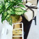 영담한의원 이미지