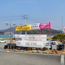 숲속애소 이미지