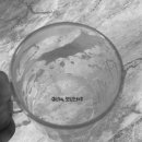 반딧불청과 이미지