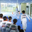 한국체대 엘리트 태권도장 이미지