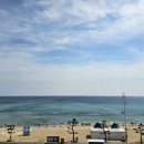 송인숙 | 홍학의 자리 - 정해연