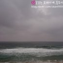 투썸펜션