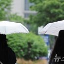 17도 이미지