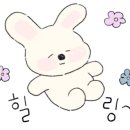 펜캠2495