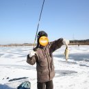 뉴팔레스빌 이미지