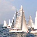 바닷길 155㎞ 요트 대향연 ..2013제주-전남요트대회, 10월3~6일 도두항 출발 이미지