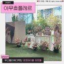 부산 플라워디렉팅 본식 생화 포토테이블 포토월 아무흐플레르 후기