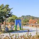 금마관광지 이미지