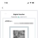 스카이리무진