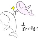 선미술음악학원 이미지