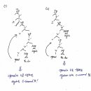 교수님 모고와 카니 관련해서 질문드려요:) 이미지