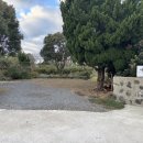 스테이애옥 이미지