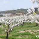 고복1리마을회관 이미지