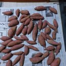 김원섭농장 이미지