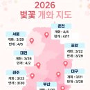 용추그린캠프 | 2026년 벚꽃 개화시기 및 전국 벚꽃 캠핑장 추천 리스트