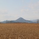순천만그리고나