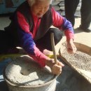 살림선생 이미지