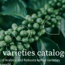 커피톡톡 이미지