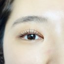엔젤아이래쉬 | 옥련동 속눈썹연장가서 바짝펌 하고온 엔젤아이래쉬 후기