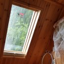 별바라기펜션 이미지