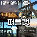오션 캣 | 영덕]🐱고양이 집사의 꿈 실현✨ &#34;퍼플캣펜션&#34; 후기｜오션뷰+캣타워+노천탕까지…몽실이랑 행복한 1박 2일