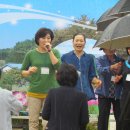 보성초등학교 이미지