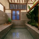 스테이자유 이미지