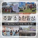 월피예술도서관 | 소소한 일상기록 안산월피예술도서관 부평구청 부평나눔장터 다녀왔어요