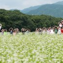 메밀꽃필무렵 이미지