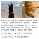 그루비살롱붙임머리