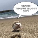 쁘띠뺑제과점 이미지
