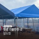 설도젓갈타운 | 영광 설도항 현지 분위기 그대로｜야장 느낌 가득한 수산시장 &amp; 말린 민어 구입 후기