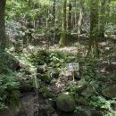 축령 | 1일 2산, 축령산-방장산 100대명산 인증 산행 (방장축령) 코스 안내