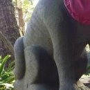 사자옆골 이미지