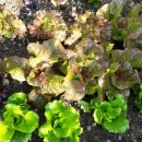 만복경로당 이미지