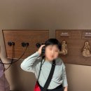 (유)백제 | 국립부여박물관 관람｜백제대향로관 백제금동대향로 실물 후기 주차 정보