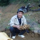 (유)유진 Daum카페