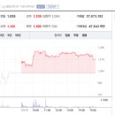 더블유파마 이미지